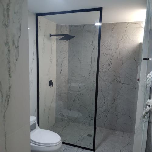 Puerta fija de vidrio para baño